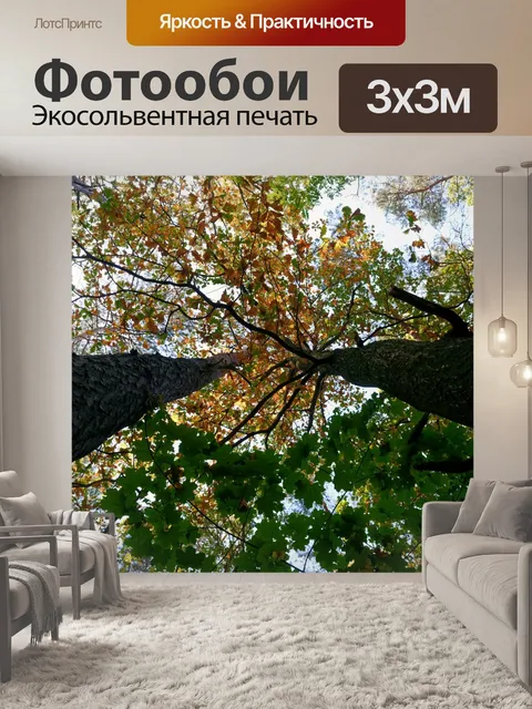 Фотообои Деревья