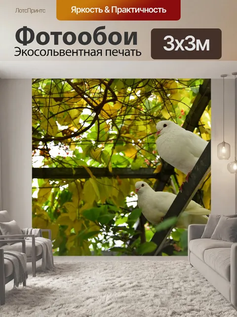 Фотообои Голуби