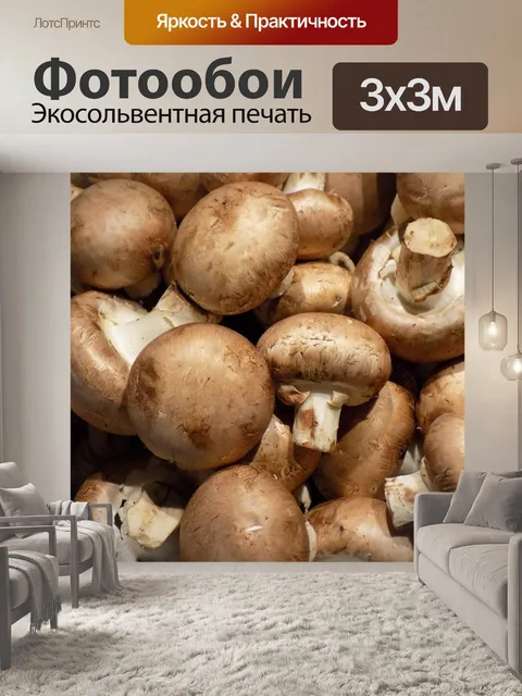 Фотообои Гриб