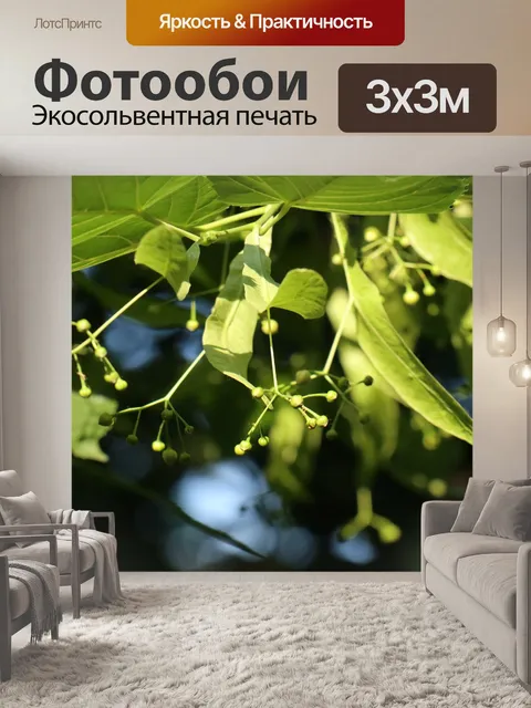 Фотообои Весна
