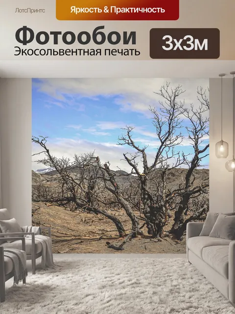 Фотообои Сгоревший лес