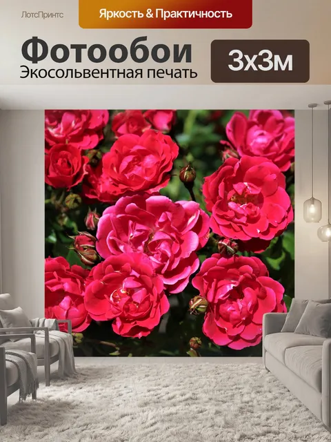 Фотообои Розы