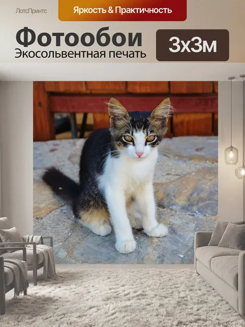 Фотообои Кошка
