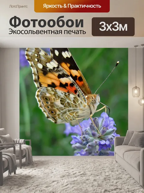 Фотообои Бабочка