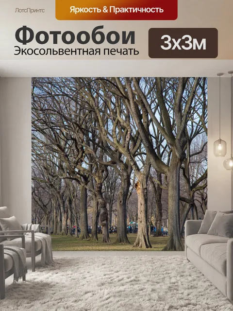 Фотообои Центральный парк, Нью-Йорк