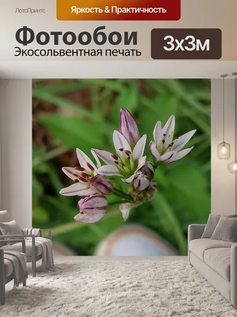 Фотообои Цветы