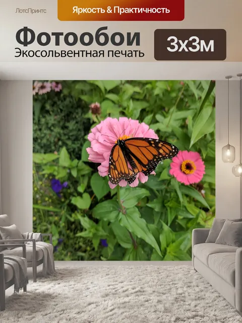 Фотообои Бабочка
