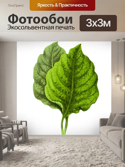 Фотообои Листва лист растение прозрачный