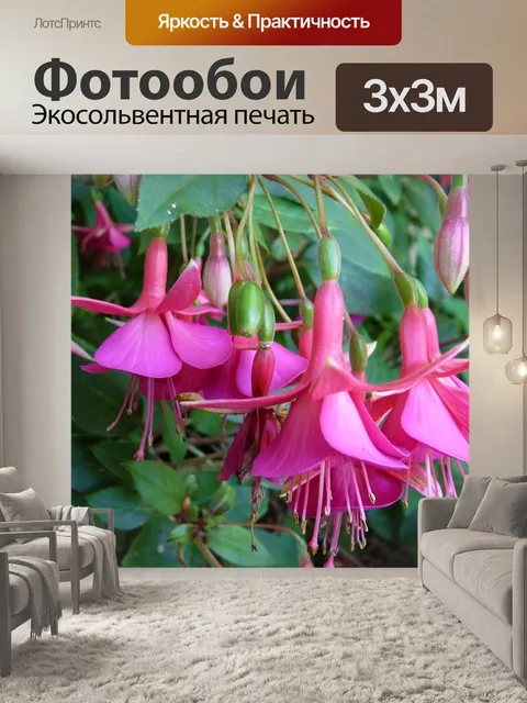 Фотообои Цветок