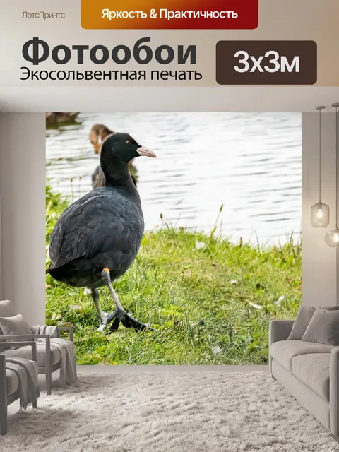 Фотообои Птица