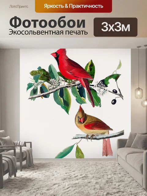 Фотообои Кардинал птица винтаж старый