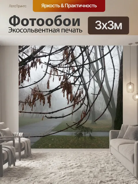 Фотообои Туман