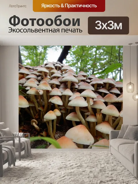 Фотообои Лес