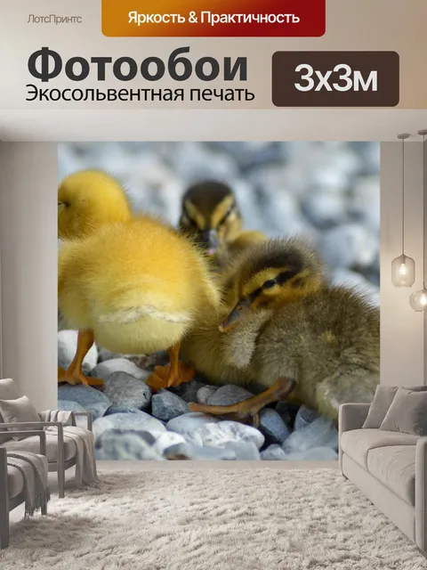 Фотообои Природа