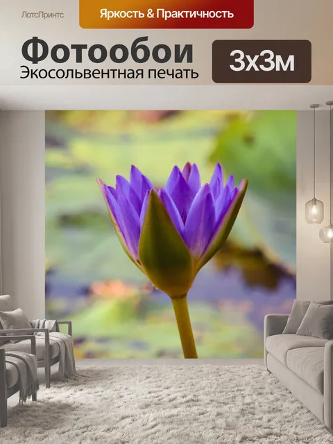 Фотообои Река