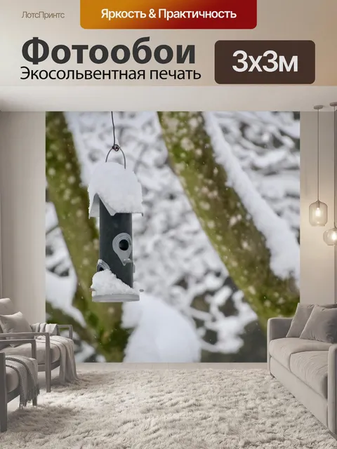 Фотообои Кормушка для птиц