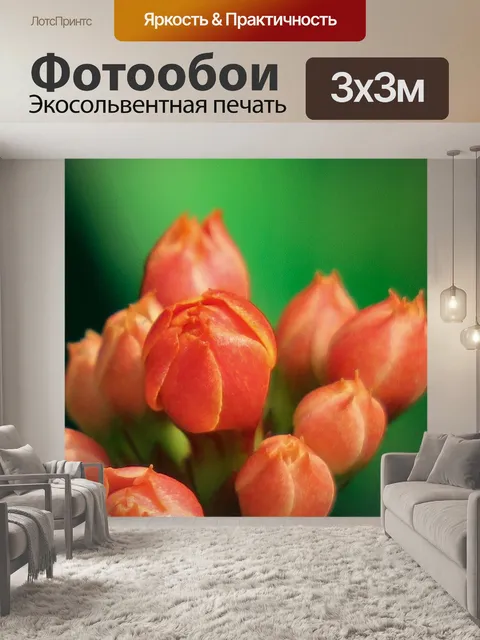 Фотообои Проведите долгое джеон