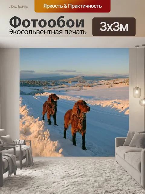 Фотообои Собаки