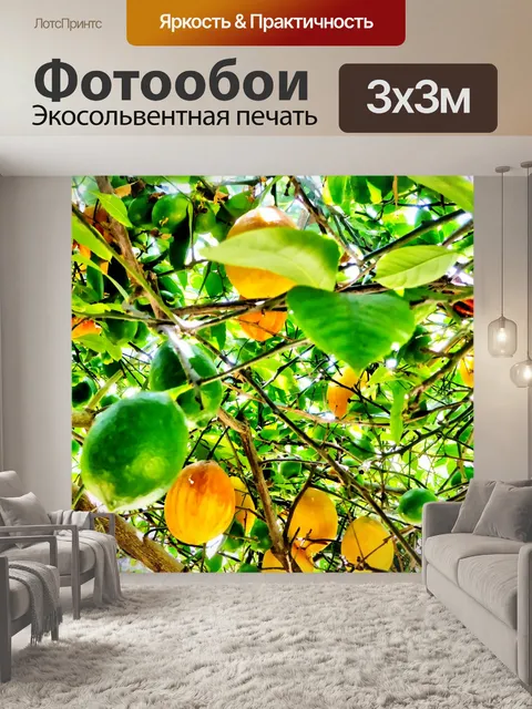Фотообои Лимон