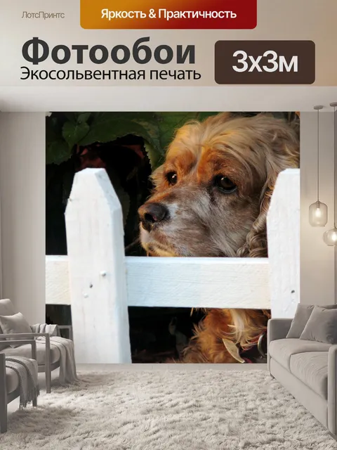 Фотообои Собака
