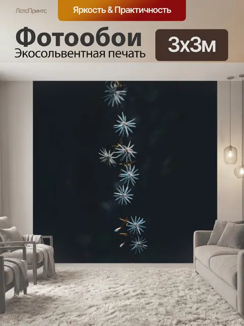 Фотообои Цветы