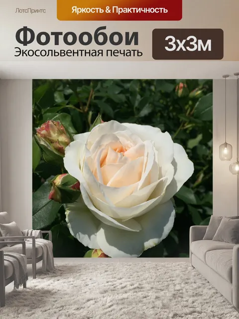 Фотообои Розы