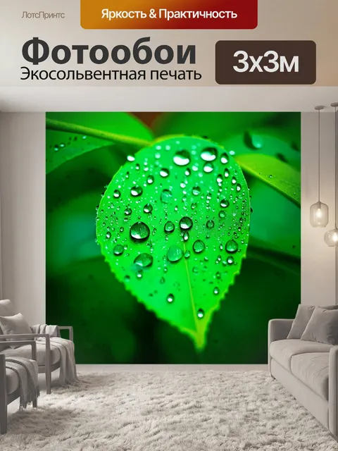 Фотообои прекрасная мозаика из капель дождя на листьях после сильного ливня