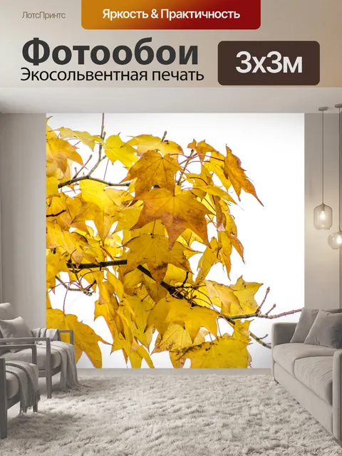 Фотообои осенних листьев