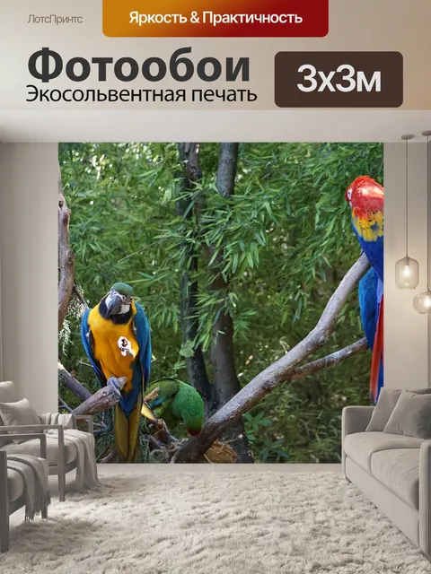 Фотообои Попугаи