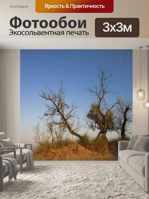 Фотообои Деревья