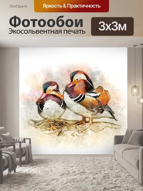Фотообои Утка