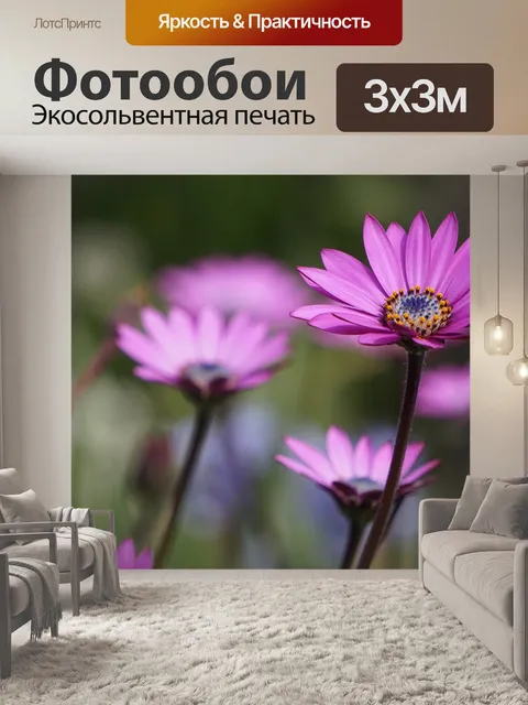 Фотообои Маргаритка