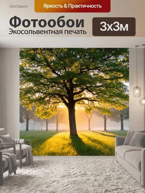 Фотообои дерево, вдыхающее утренние лучи солнца, с утренним туманом, обвивает его как покрывало