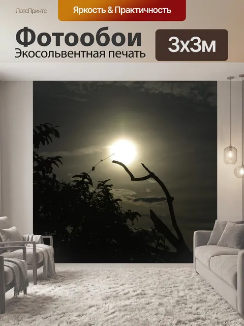 Фотообои Закат