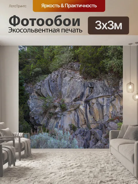 Фотообои Рок Роза