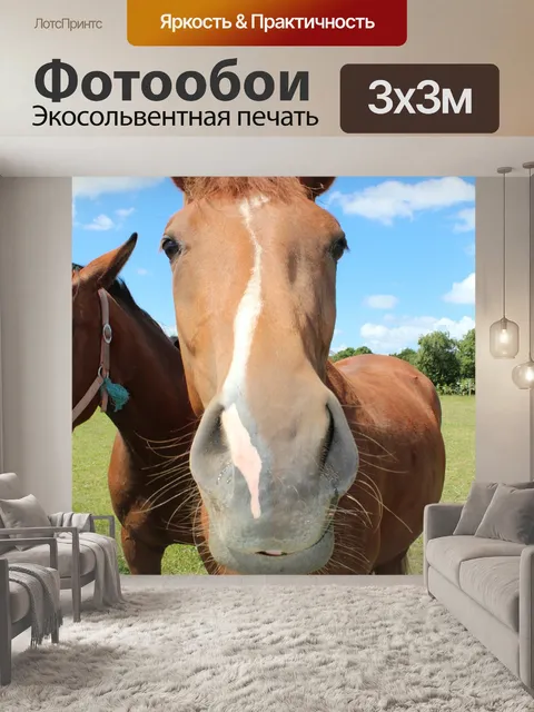 Фотообои Лошадь