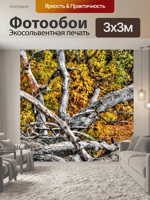 Фотообои Падение мертвых деревьев