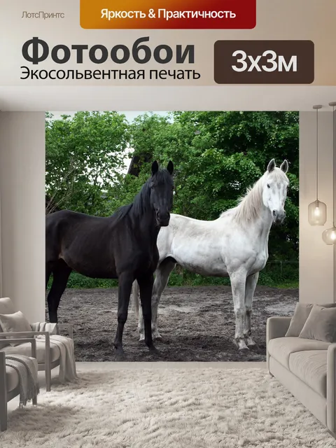 Фотообои Лошади