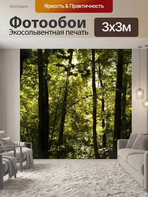 Фотообои Лес