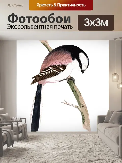 Фотообои Птица длиннохвостая синица