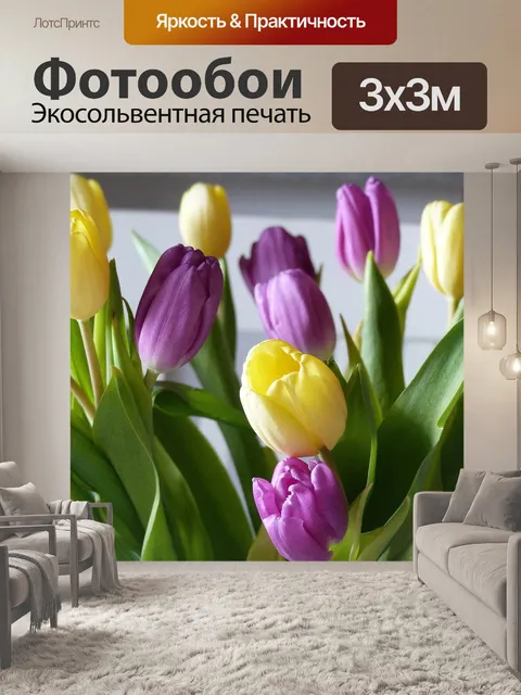 Фотообои Тюльпаны