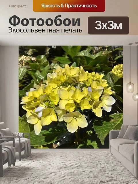 Фотообои Яркий