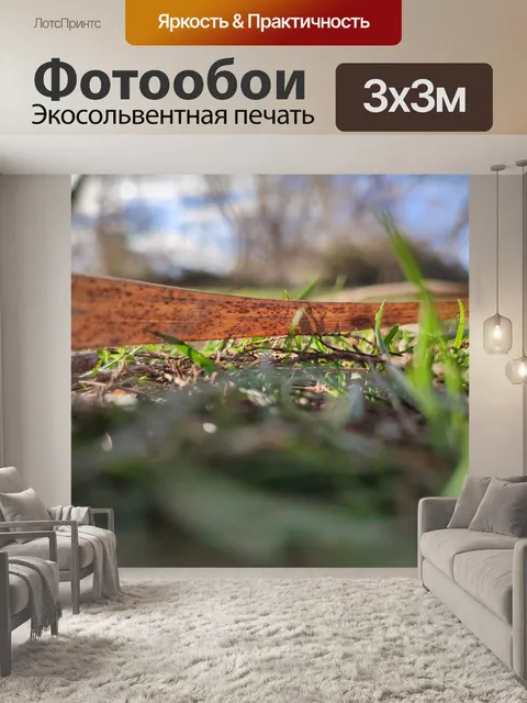 Фотообои Лист на земле