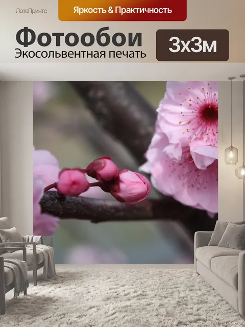 Фотообои Цветы