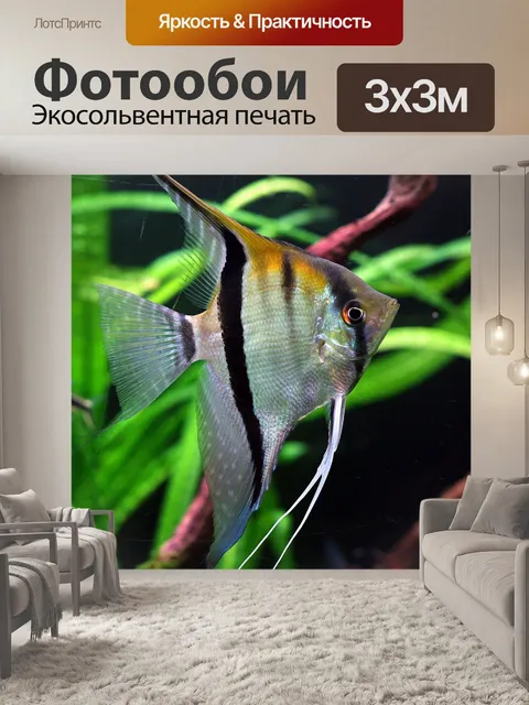 Фотообои Рыбы