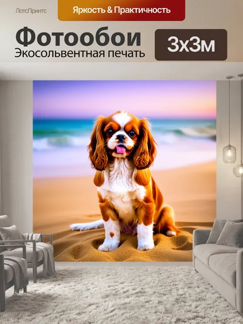 Фотообои очаровательный кавалер кинг чарльз спаниель