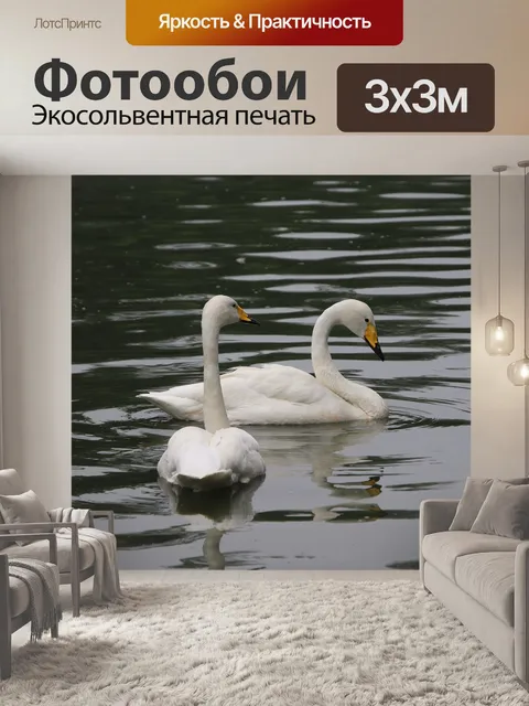 Фотообои Лебеди