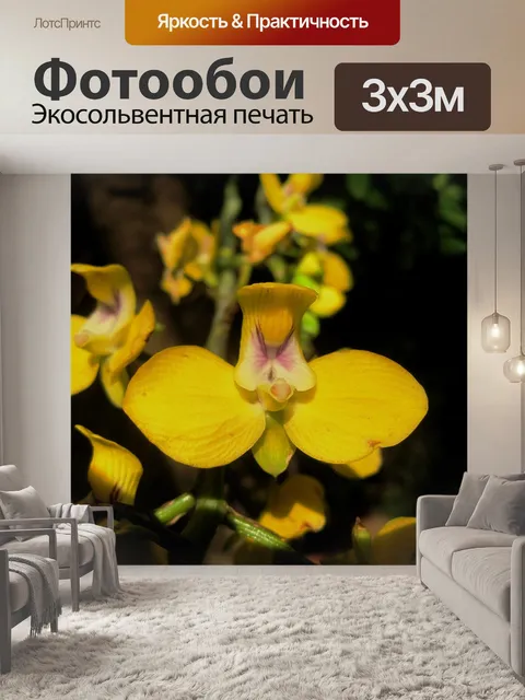 Фотообои Орхидея