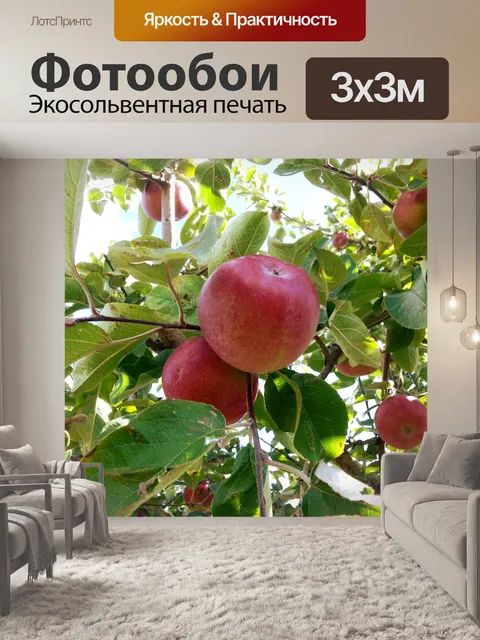 Фотообои Apple, Harvest