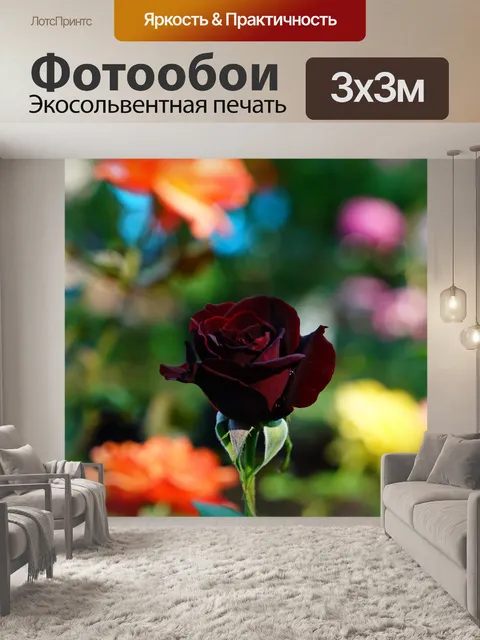Фотообои Карта